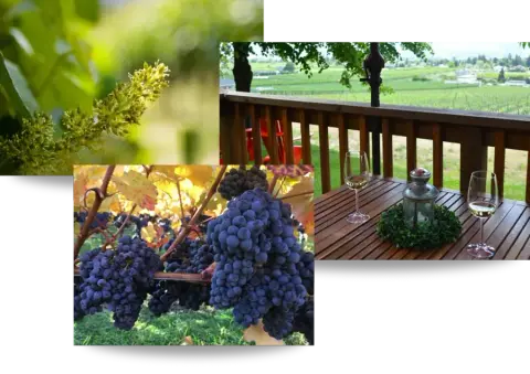 Four Shadows Vineyard & Winery product photo