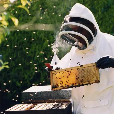 From Hives To Honey product photo