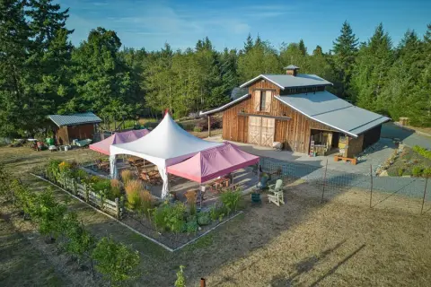 Aerial view of the Ravenskill Orchards cidery barn and patio on Gabriola Island