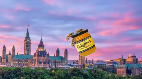 Ottawa Delivery Perk.png