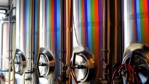 Halo Brewery product photo