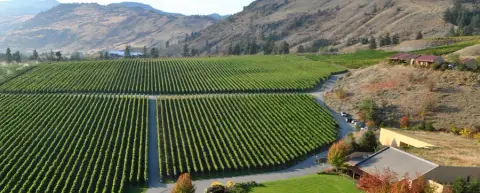 Scenic view of the Hester Creek estate on the Golden Mile Bench