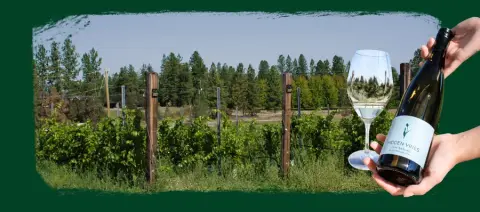 Hidden Vines Family Estate Winery product photo