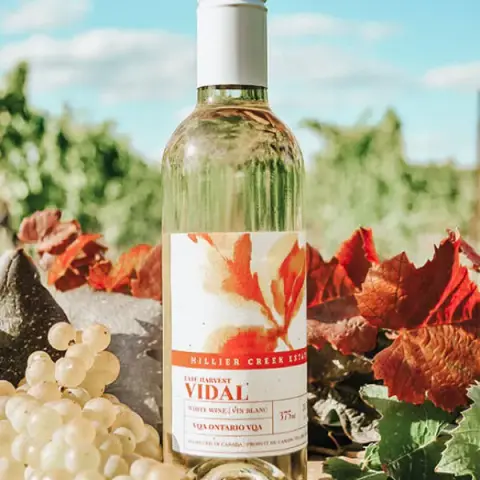 Bottle of Hillier Creek Estates Late Harvest Vidal