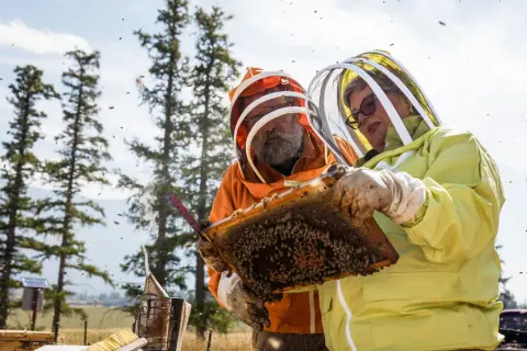 Honey Bee Zen Apiaries product photo