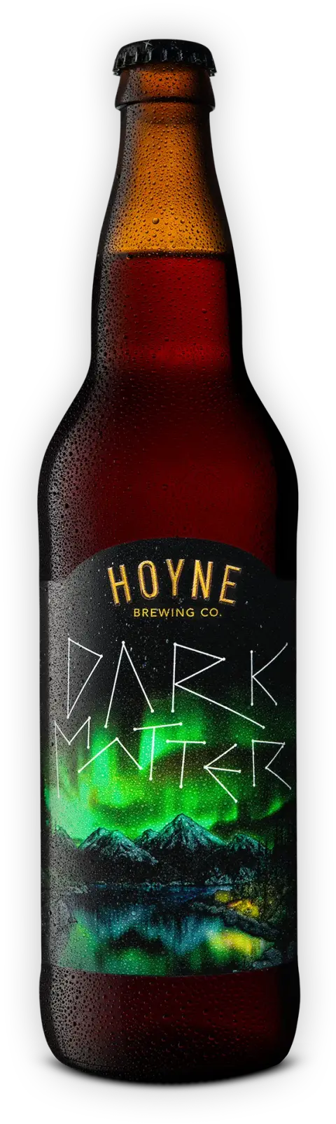 Hoyne Dark Matter