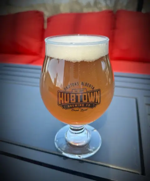 Hub Town Skinny Sipper IPA