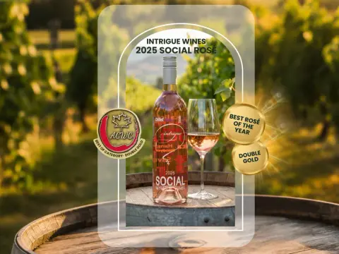 Bottle of Intrigue Wines 2025 Social Rosé, winner of Double Gold and Best Rosé of the Year at the All-Canadian Wine Championships, crafted i