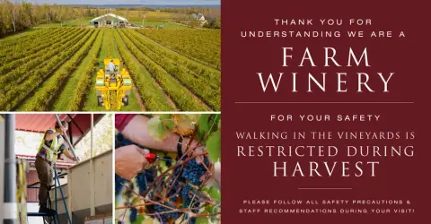 Thank you for understanding we are a farm winery.