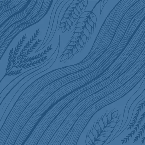 Illo Vodka4Web.jpg