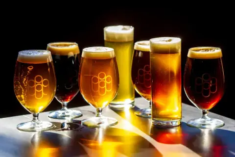 A row of Lakehead Beer Company beers in branded glasses