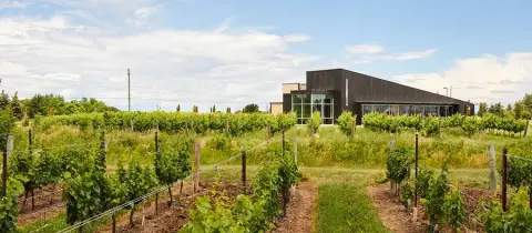 The Lakeview Wine Co. winery building in Niagara-on-the-Lake