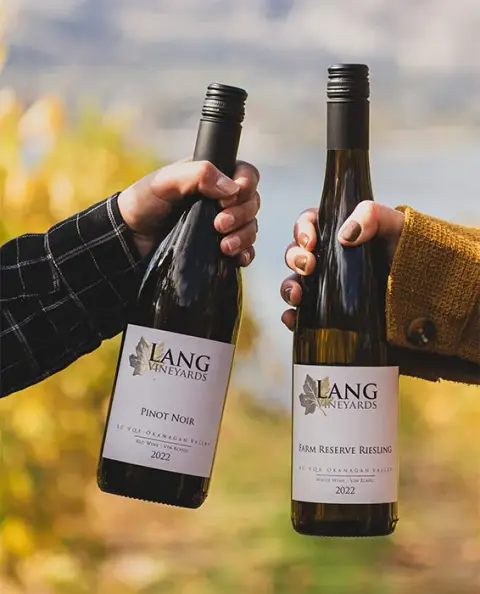 Our-Wines