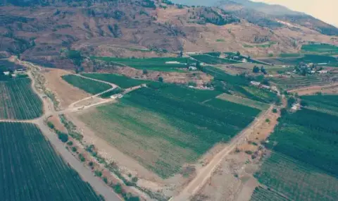 Aerial view of the La Feuille d'Or vineyard