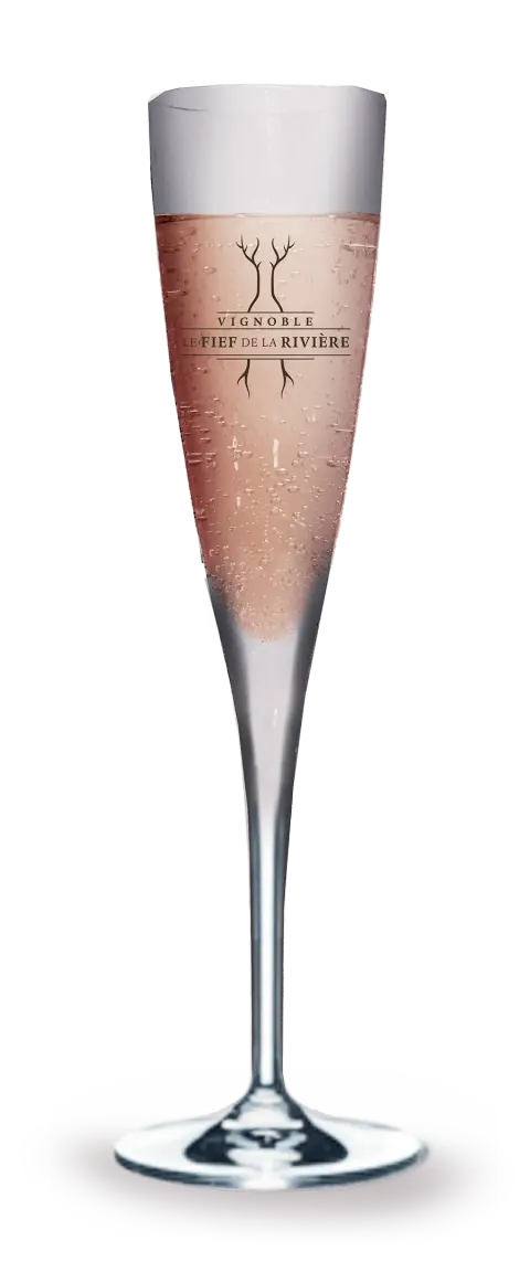 Coupe de vin de Globulles
