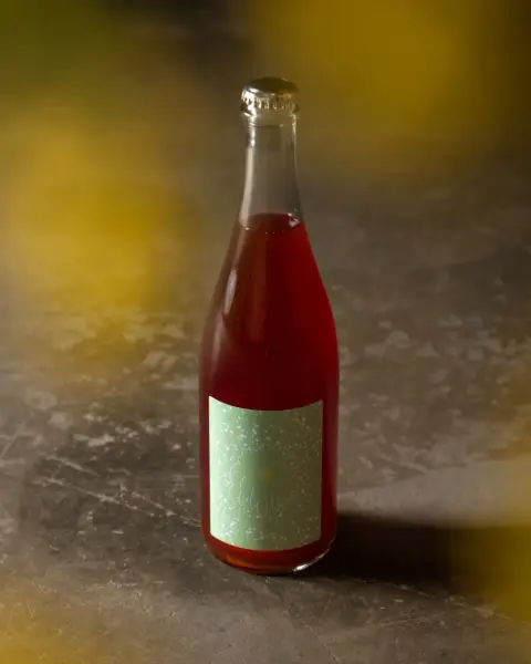2025 SAUCETTE - biologique