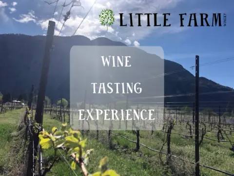 Vineyard Tour & Tasting Experience with Master of Wine