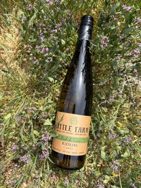 2022 Pied de Cuve Riesling