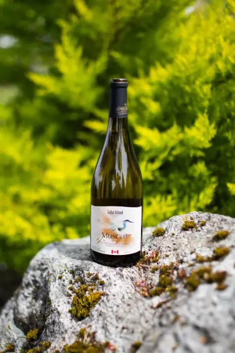 luluislandwinery-muscat-wine.jpg
