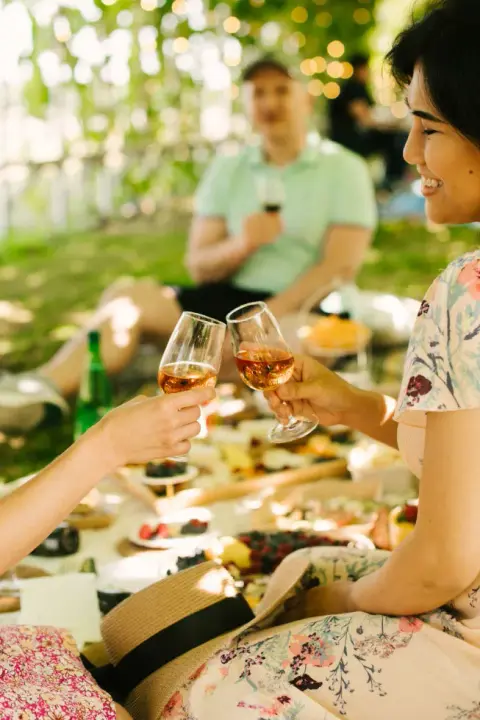 luluislandwinery-picnic.jpg