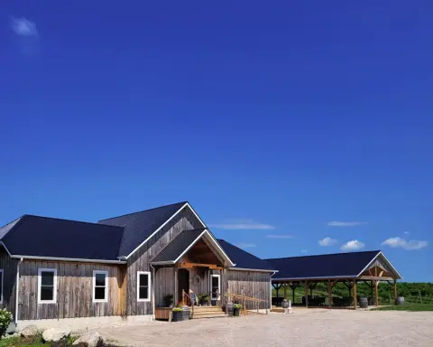 The Maelstrom Winery tasting room and covered patio beside the vineyard
