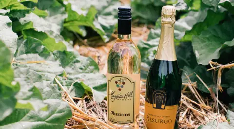 Magnetic Hill Winery product photo