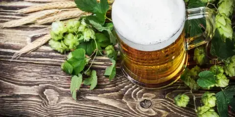 A frothy beer mug surrounded by fresh hops on a wooden surface.