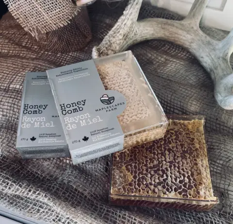 Pure Raw Honey Comb