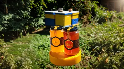 Mied product photo