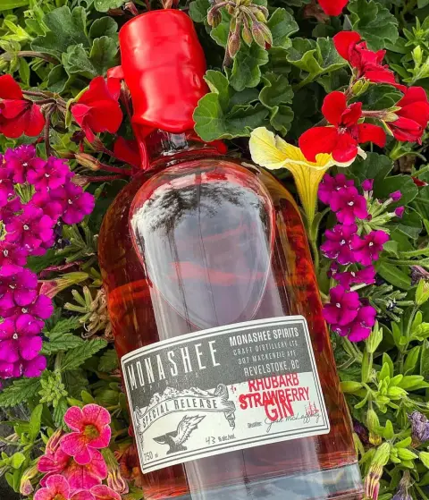 Strawberry Rhubarb Gin