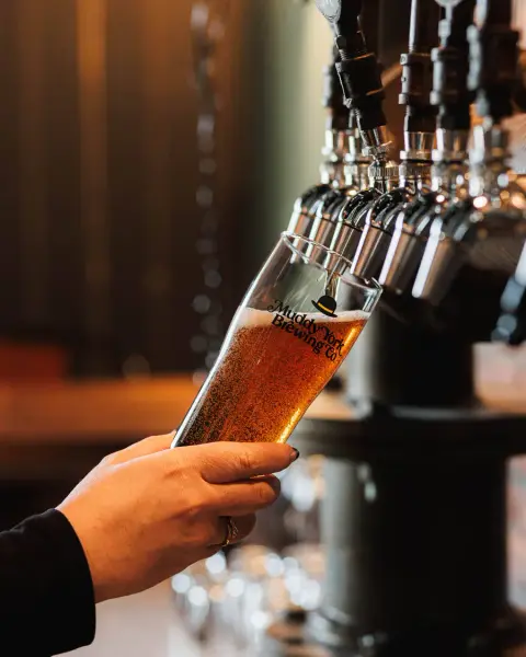 A Muddy York glass being filled at the brewery taps