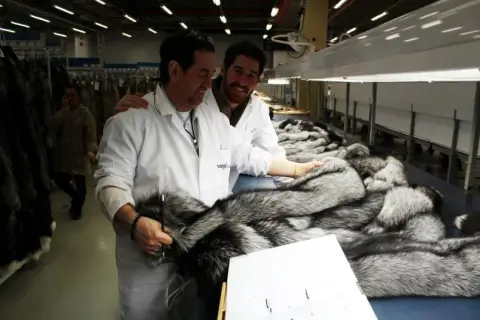 Chris Kotsaboikidis and his son Kosta inspecting silver fox pelts