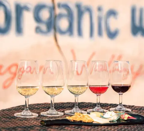Five tasting glasses on a tractor