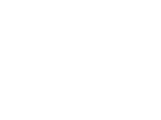Old Yale Brewing