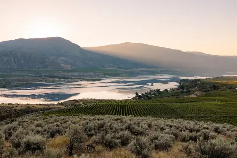 Osoyoos Larose Estate Winery product photo