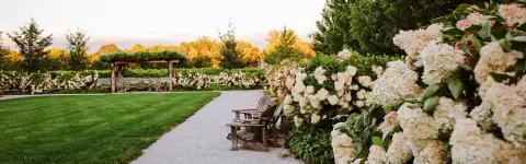 Late Summer 2026