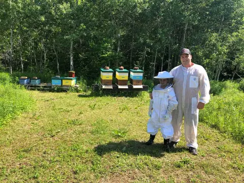 bees