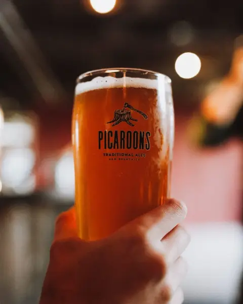 The Picaroons brewing system
