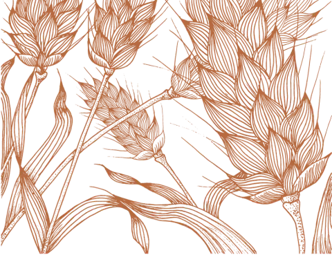 wheat.png