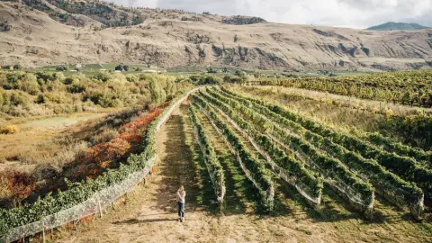 Platinum Bench winery in Oliver