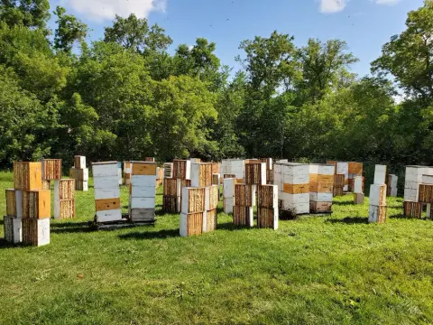 Podolski Honey Farms product photo