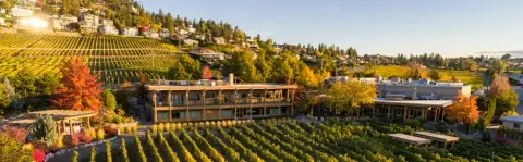 Quails' Gate Estate Winery product photo