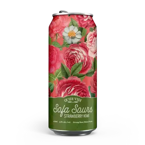 Can of Sofa Sours Strawberry Kiwi