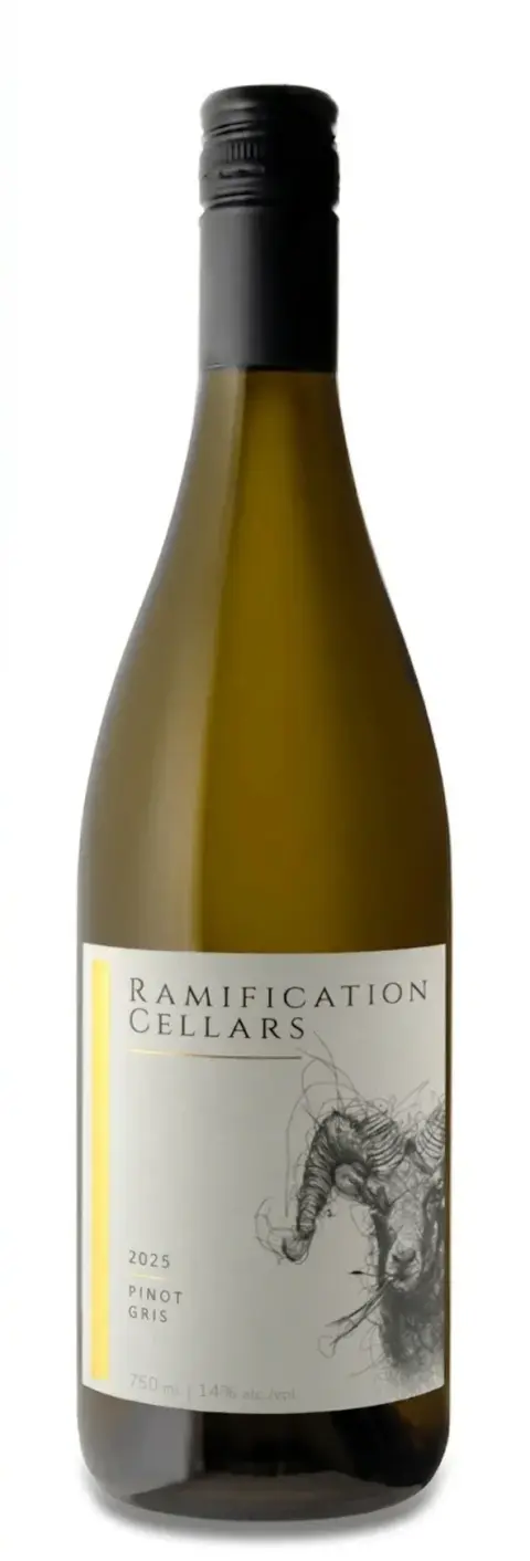 2025 Pinot Gris