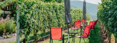 River Stone Estate Winery product photo