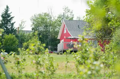 The Riverdale Orchard cidery in Bonshaw, PEI