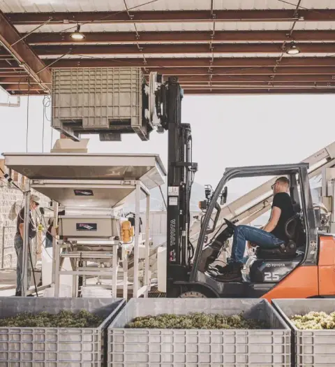 Road 13 Vineyards processing and cellar facility
