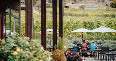 Guests gathered at the Roche Wines patio with views over the Naramata Bench vineyard