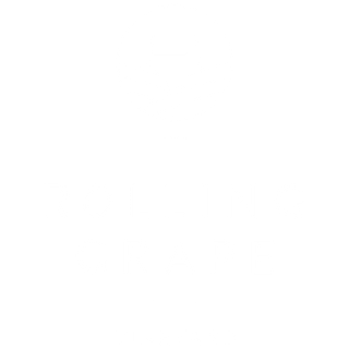 Rolling Grape Vineyard