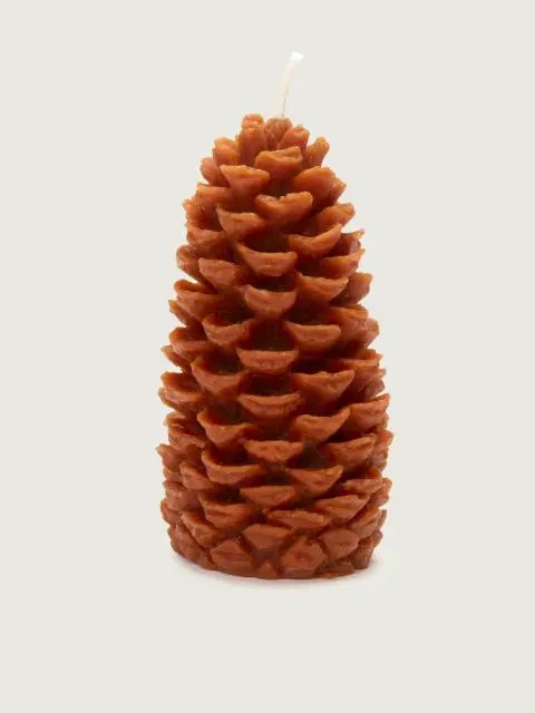 Extra Large Pine Cones